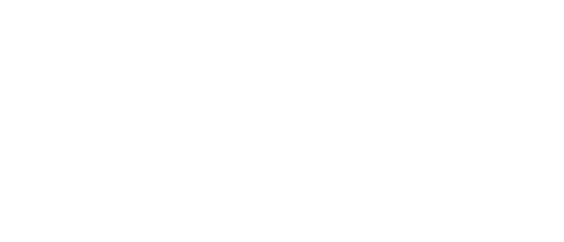 Daily Sun